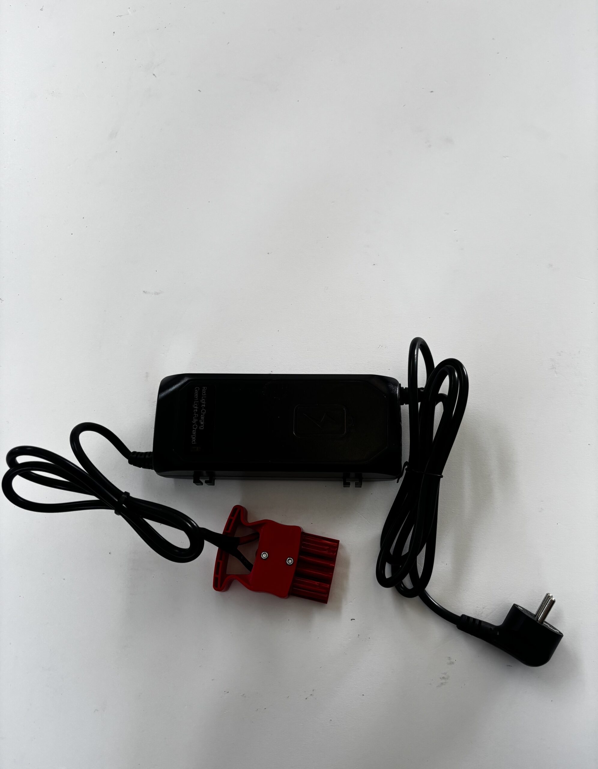 CARICA BATTERIA OEM 24v-5Ah EP Equipment F4 - immagine 2